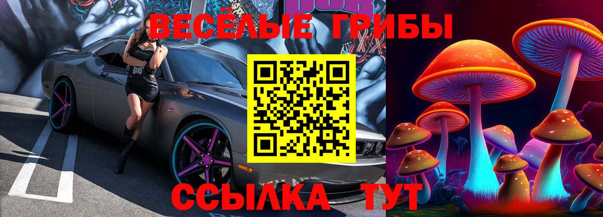 Псилоцибиновые грибы мицелий Дербент