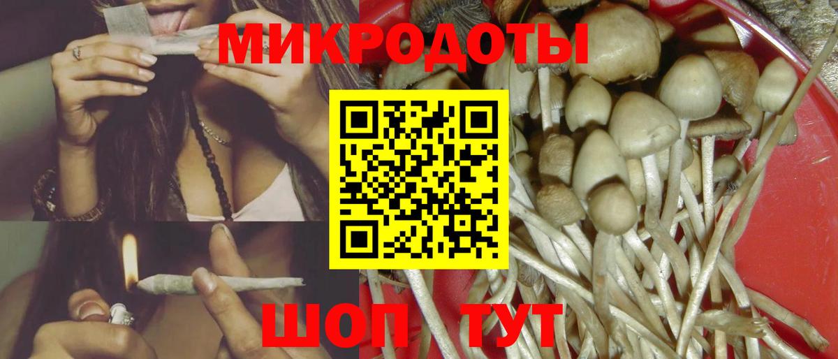 Дербент  Псилоцибиновые грибы MAGIC MUSHROOMS  Вход с VPN 